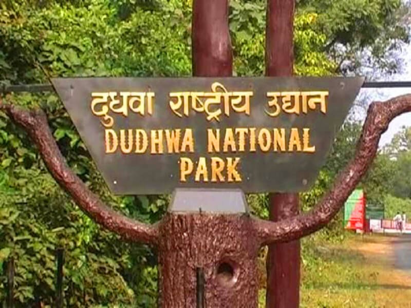 Budget 2 Day Dudhwa Safari